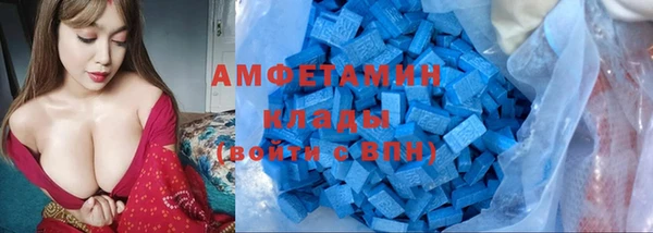 индика Алзамай