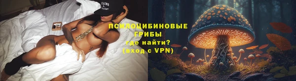 a pvp Абаза
