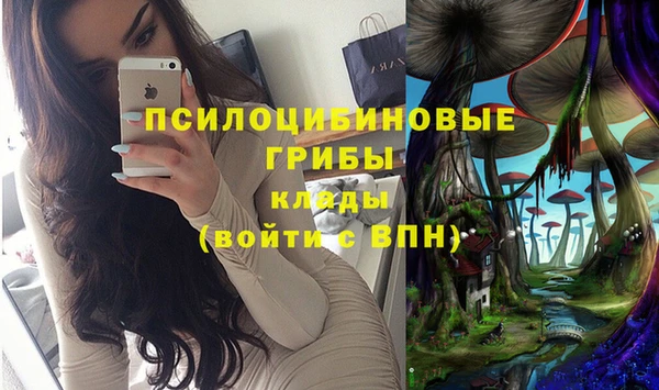 mdpv Алексин