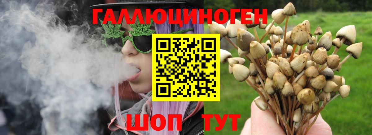 как найти   Вход с VPN  Ипатово  Галлюциногенные грибы GOLDEN TEACHER 
